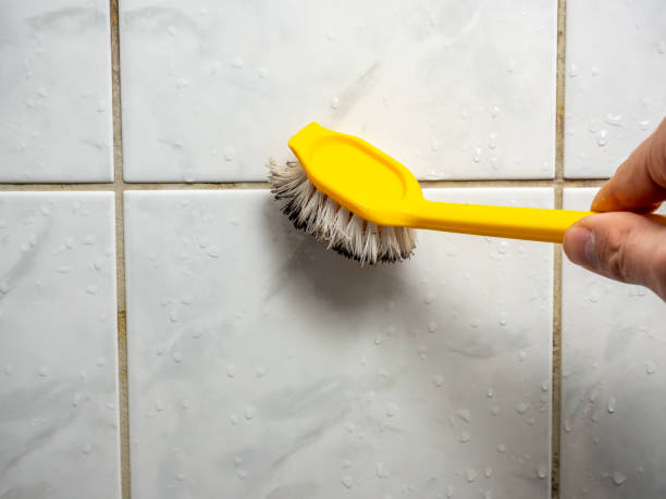 Best DIY Mold Remediation Support Services in Killen, AL
