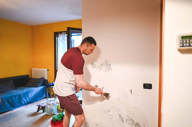 Best Preventive Mold Services in Killen, AL